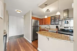 1355 N Sandburg Terrace, Chicago, IL 60610 - Photo 7