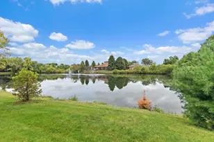 393 Lowell Dr, South Elgin, IL 60177 - Photo 3