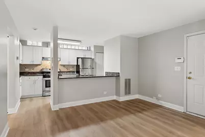 301A W Goethe Street #201, Chicago, IL 60610 - Photo 9