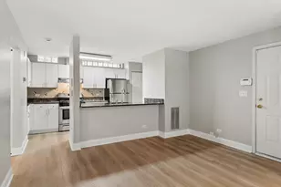 301A W Goethe St, Chicago, IL 60610 - Photo 9