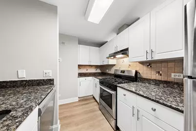 301A W Goethe Street #201, Chicago, IL 60610 - Photo 11