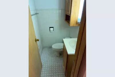 8325 S Karlov Avenue, Chicago, IL 60652 - Photo 17
