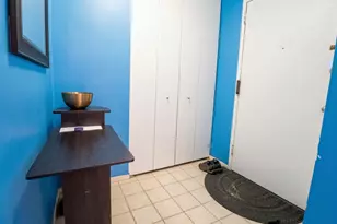 3021 S Michigan Ave, Chicago, IL 60616 - Photo 17