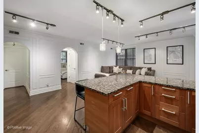 433 W Briar Place #1B, Chicago, IL 60657 - Photo 11