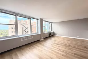 4250 N Marine Dr, Chicago, IL 60613 - Photo 5
