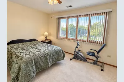 14161 Rado Drive, Homer Glen, IL 60491 - Photo 9