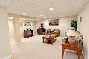 14161 Rado Dr, Homer Glen, IL 60491 - Photo 17