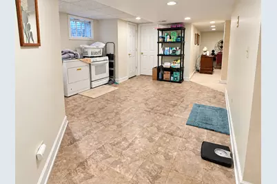 14161 Rado Drive, Homer Glen, IL 60491 - Photo 19