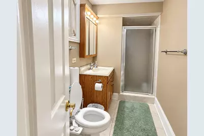 14161 Rado Drive, Homer Glen, IL 60491 - Photo 11