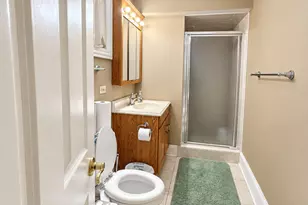 14161 Rado Dr, Homer Glen, IL 60491 - Photo 11