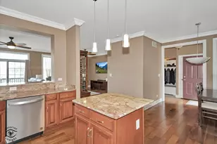 8638 Saddlebred Ct, Frankfort, IL 60423 - Photo 11