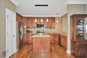 8638 Saddlebred Ct, Frankfort, IL 60423 - Photo 9