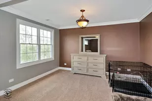 8638 Saddlebred Ct, Frankfort, IL 60423 - Photo 19