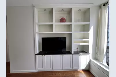 260 E Chestnut Street #1511, Chicago, IL 60611 - Photo 13