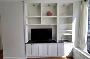 260 E Chestnut St, Chicago, IL 60611 - Photo 13
