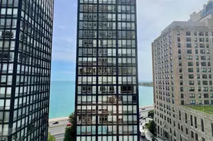 260 E Chestnut St, Chicago, IL 60611 - Photo 9