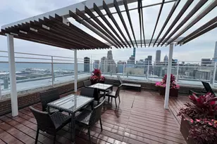 260 E Chestnut St, Chicago, IL 60611 - Photo 39
