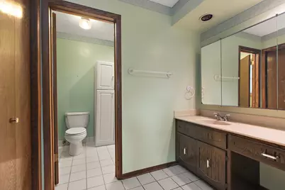 9736 W Pebble Drive, Palos Park, IL 60464 - Photo 21