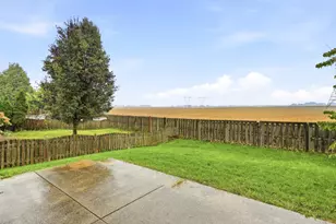 427 Alyssa St, Plano, IL 60545 - Photo 21
