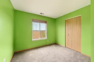 427 Alyssa St, Plano, IL 60545 - Photo 19