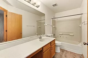 427 Alyssa St, Plano, IL 60545 - Photo 13