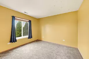 427 Alyssa St, Plano, IL 60545 - Photo 17