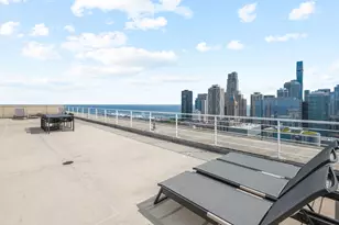 250 E Pearson St, Chicago, IL 60611 - Photo 25