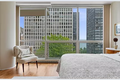 250 E Pearson Street #1002, Chicago, IL 60611 - Photo 15