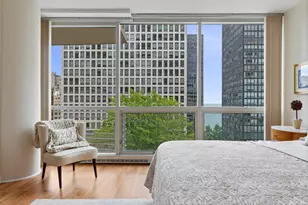 250 E Pearson St, Chicago, IL 60611 - Photo 15