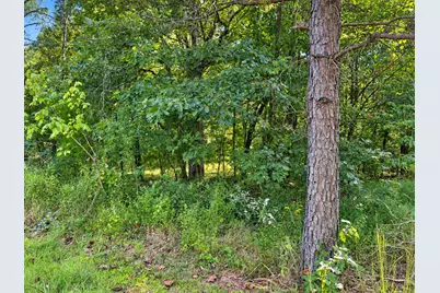 33 Karbers Ridge Road, Herod, IL 62947 - Photo 5