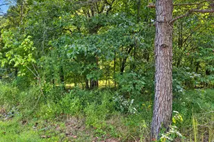 33 Karbers Ridge Rd, Herod, IL 62947 - Photo 5