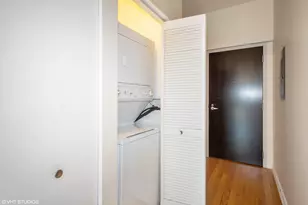 303 W Ohio St, Chicago, IL 60654 - Photo 15