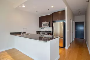 303 W Ohio St, Chicago, IL 60654 - Photo 5