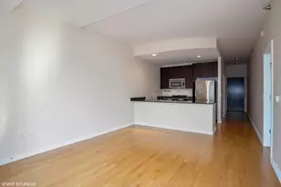 303 W Ohio St, Chicago, IL 60654 - Photo 11