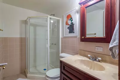 3805 Foster Street, Evanston, IL 60203 - Photo 23