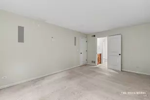 466 Laura Ct, Naperville, IL 60563 - Photo 23