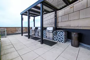 850 N Lake Shore Dr, Chicago, IL 60611 - Photo 19