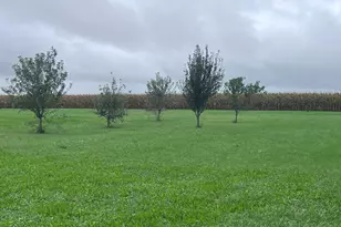 573 County Road 2050E Rd, Varna, IL 61375 - Photo 35