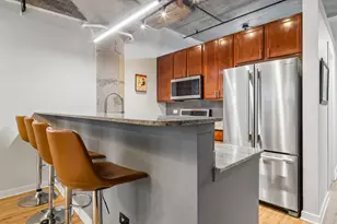 1150 W 15th St, Chicago, IL 60608 - Photo 9