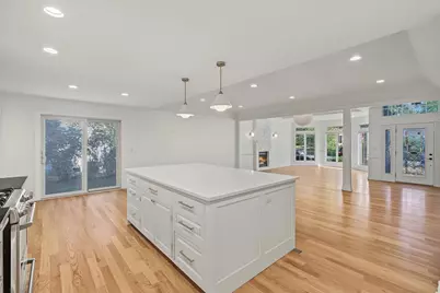1009 Douglas Avenue, Naperville, IL 60540 - Photo 35