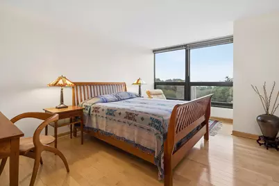 360 E Randolph Street #403, Chicago, IL 60601 - Photo 15