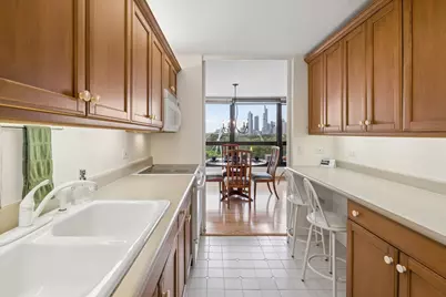 360 E Randolph Street #403, Chicago, IL 60601 - Photo 13