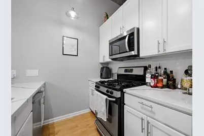 1000 W 15th Street #133, Chicago, IL 60608 - Photo 11