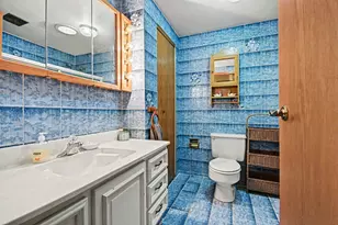 609 Tilipi Ln, Schaumburg, IL 60193 - Photo 15