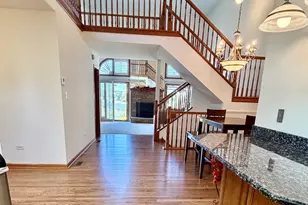 19339 Lisadell Dr, Tinley Park, IL 60487 - Photo 17