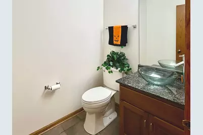 19339 Lisadell Drive, Tinley Park, IL 60487 - Photo 19