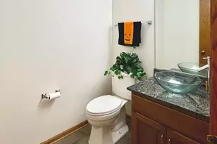 19339 Lisadell Dr, Tinley Park, IL 60487 - Photo 19