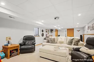 8707 Deer Trail Rd, Spring Grove, IL 60081 - Photo 29