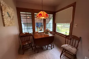 415 W Minnesota St, Spring Valley, IL 61362 - Photo 33
