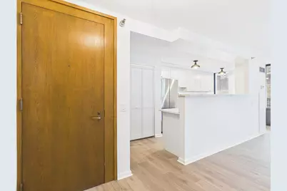 1230 N State Parkway #18D, Chicago, IL 60610 - Photo 9